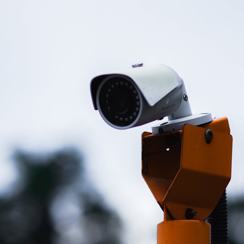 pexels-photo-32635127-2